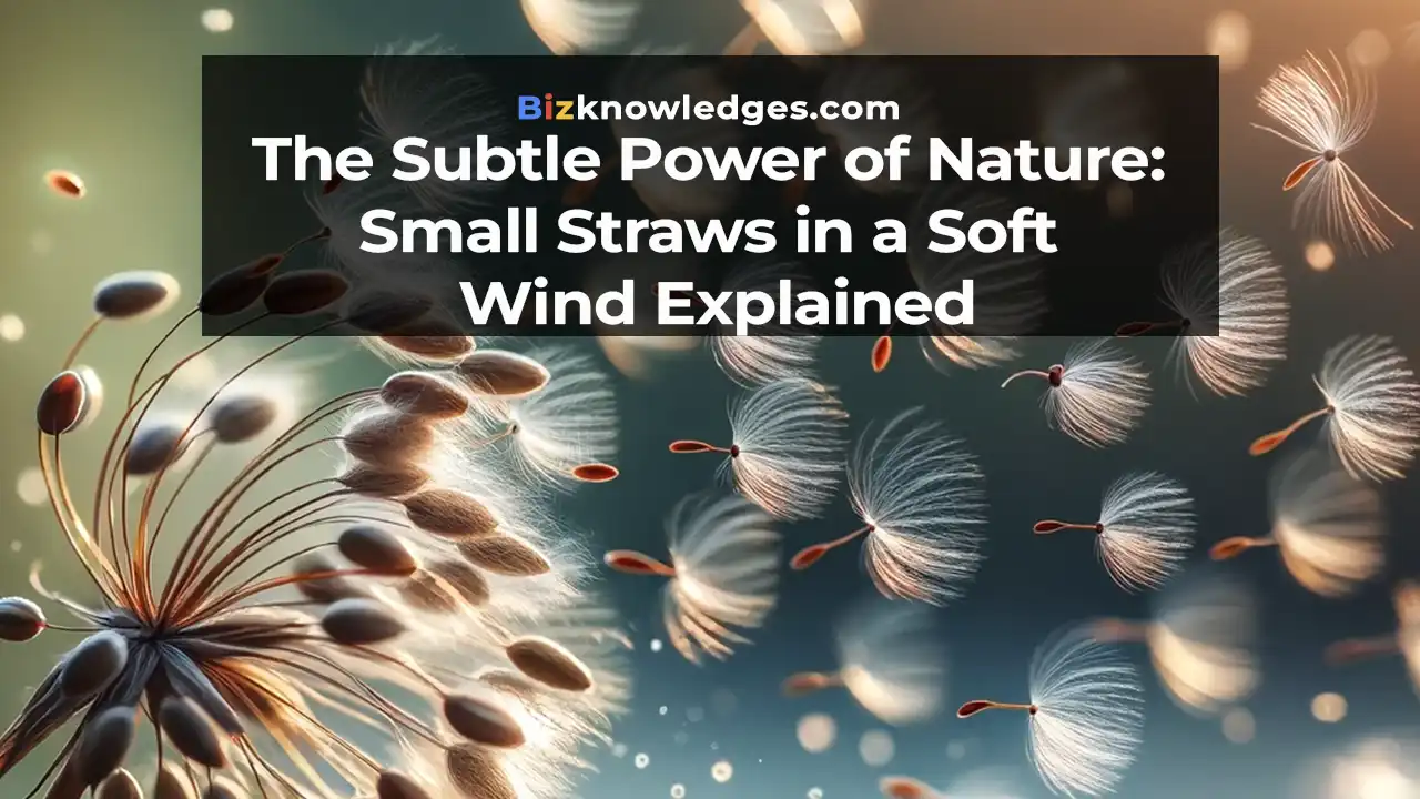 The Subtle Power of Nature: Small Straws in a Soft Wind Explained