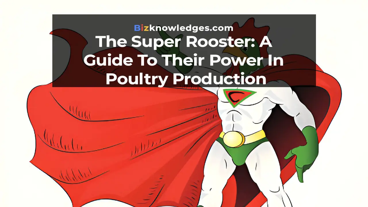 The Super Rooster