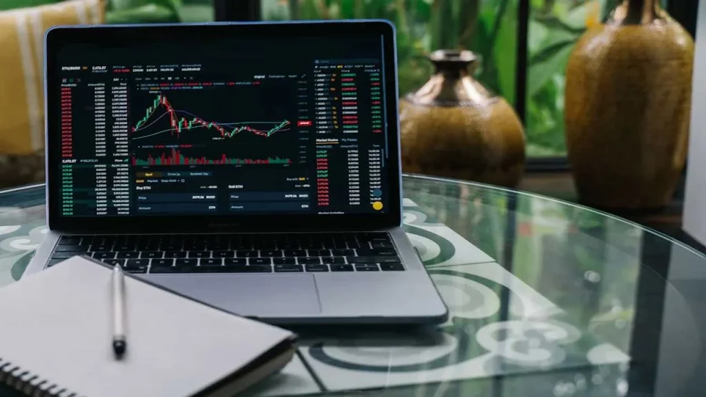 Top Features of Pedrovazpaulo’s Investment Approach